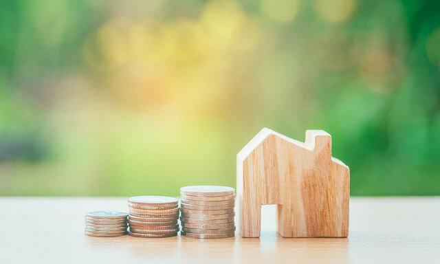 Coin money and house model