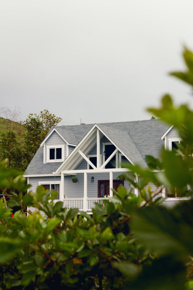 Home Through Trees