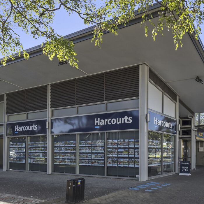 Mt Maunganui Harcourts Office