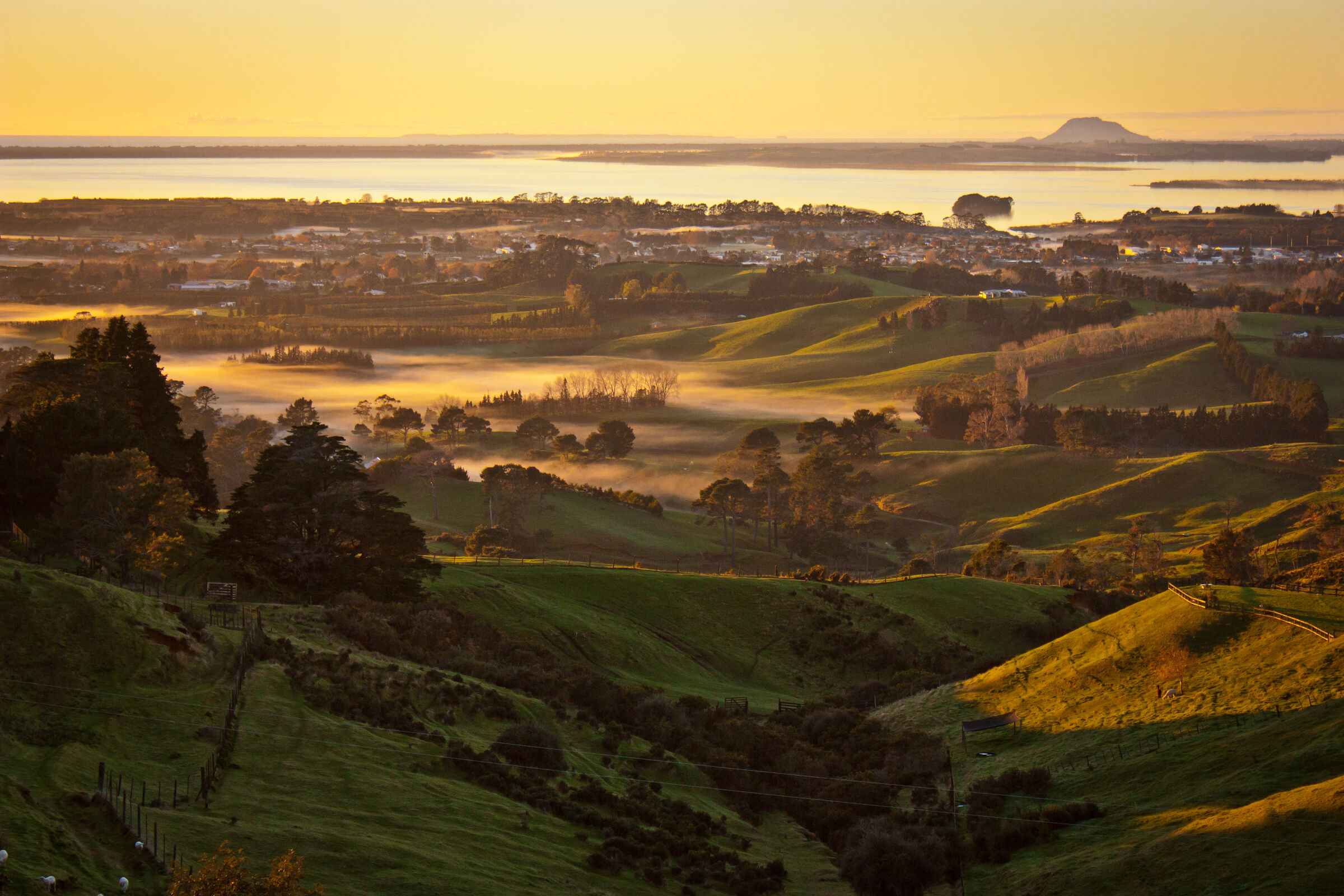 Sunrise From Katikati Lookout