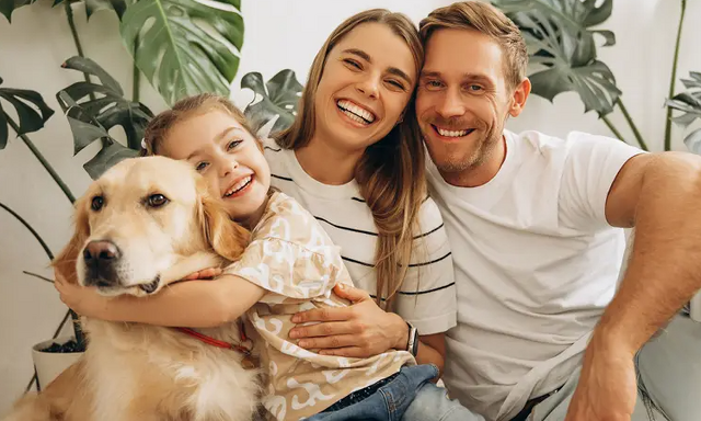 Understanding the new pet legislation: what landlords need to know