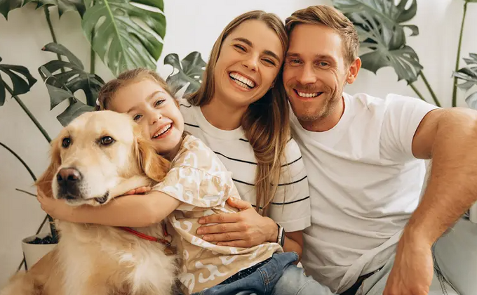 Understanding the new pet legislation: what landlords need to know